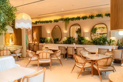 Cane chairs, arched mirrors and hanging greenery in the Worli dining room